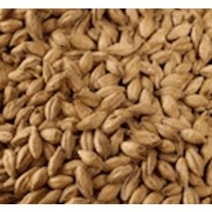 Amber Specialty Grain