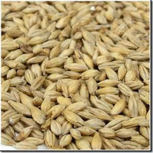 Carafoam Specialty Grain