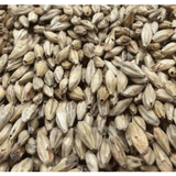Melanoidin Specialty Grain Malt