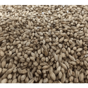 The Swaen Pilsen Base Grain Malt