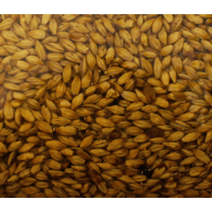 Red Caramel Specialty Malt