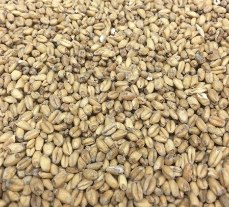 White Wheat Base Malt Grain